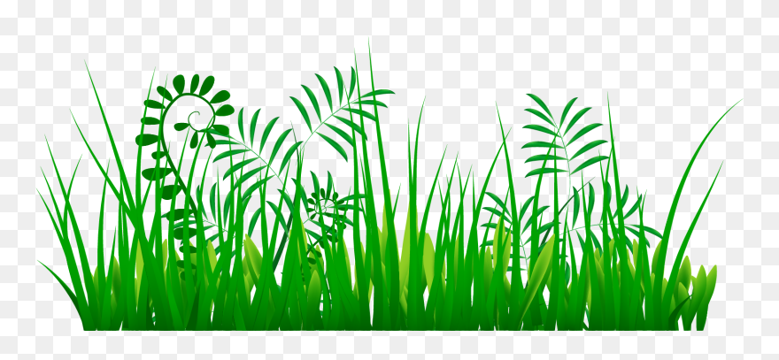 Tree Growth Clipart Vector Transparent Plant Clipart - Whatsapp Anjali Name Dp - Png Download