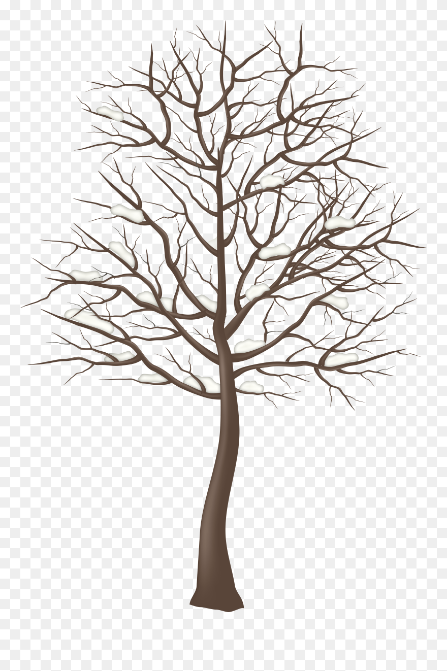 Transparent Winter Trees Clipart - Png Download