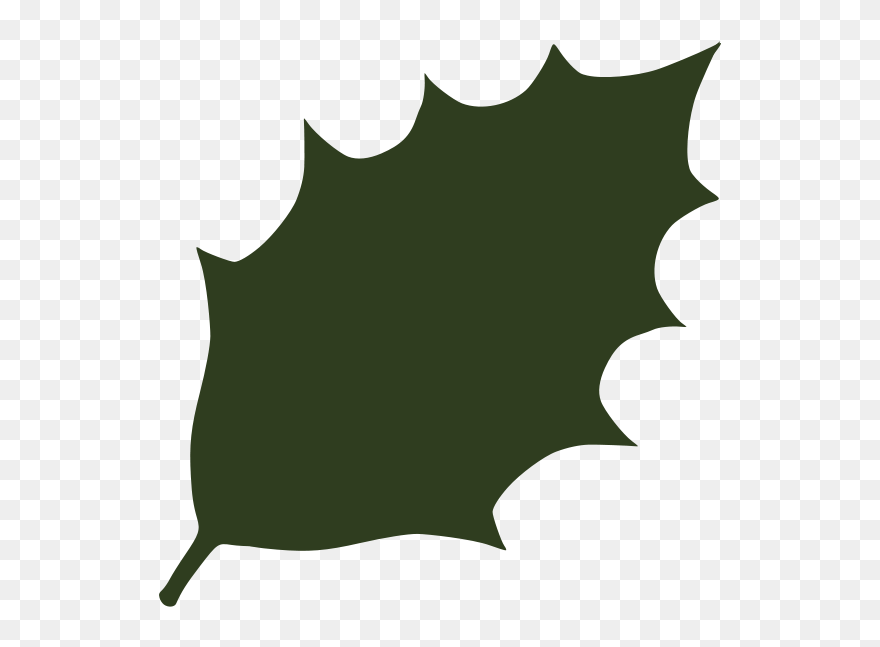 Green Leaf 06 Png Images - Holly Leaf Silhouette Clipart