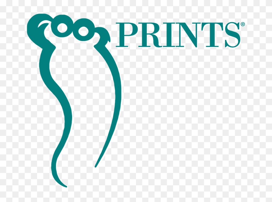 Graphic Design Clipart , Png Download Transparent Png