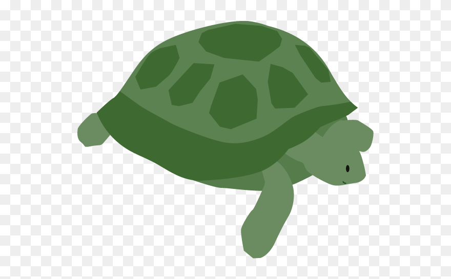 Tortoise Clipart