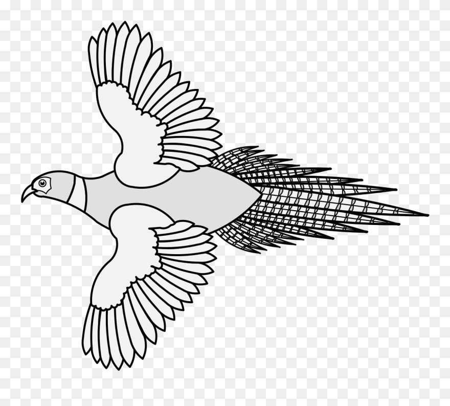 Pheasant Heraldic Clipart