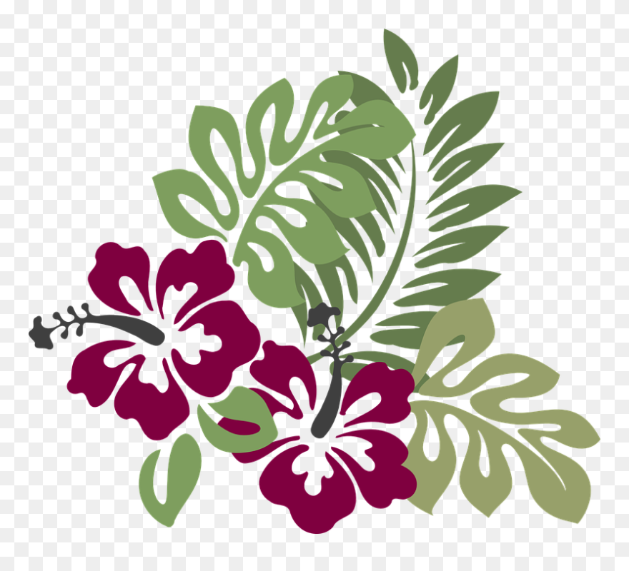 Hibiscus Clip Art - Png Download