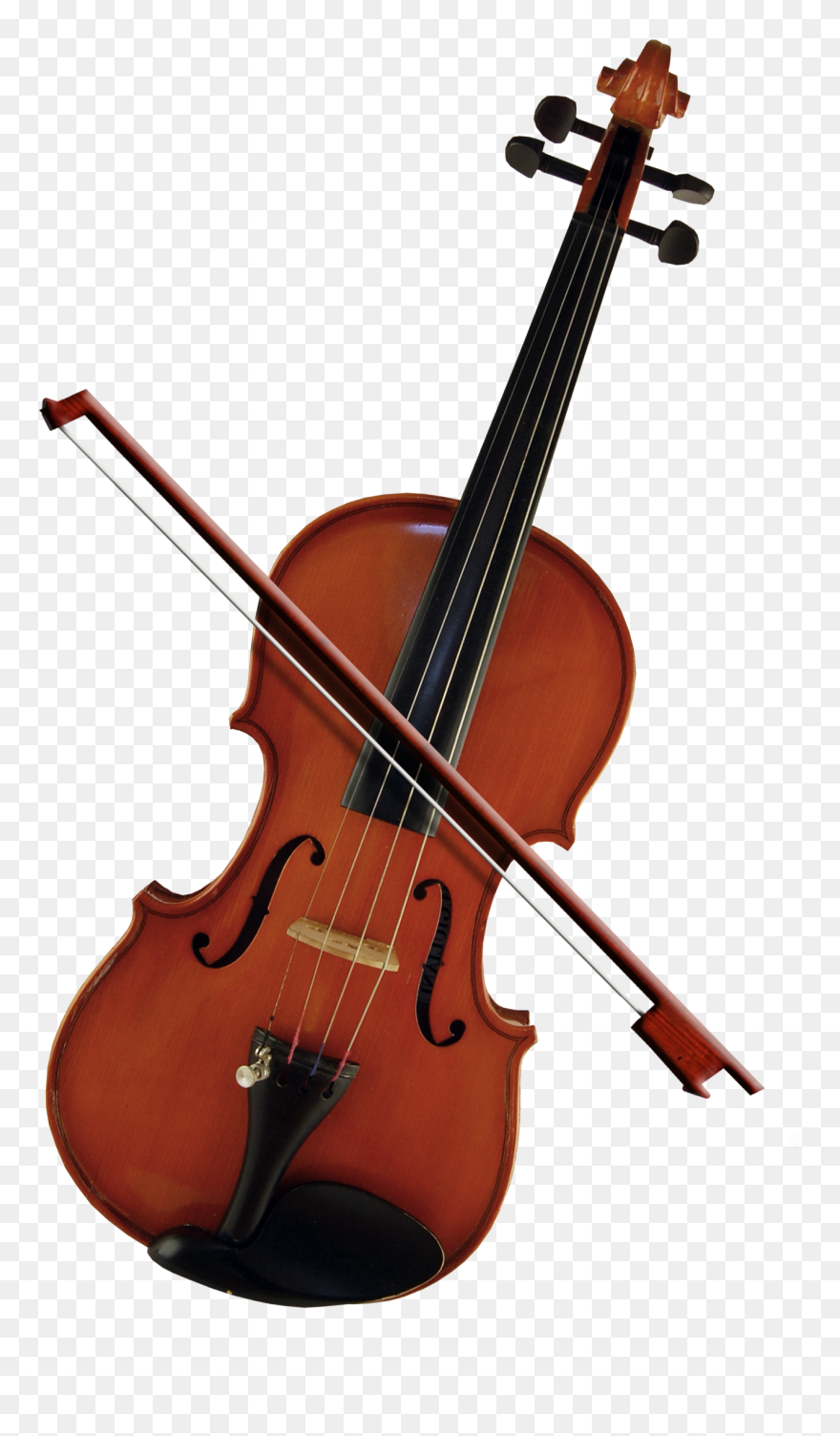Bass Violin Violone Beautiful - Violin Png Clipart