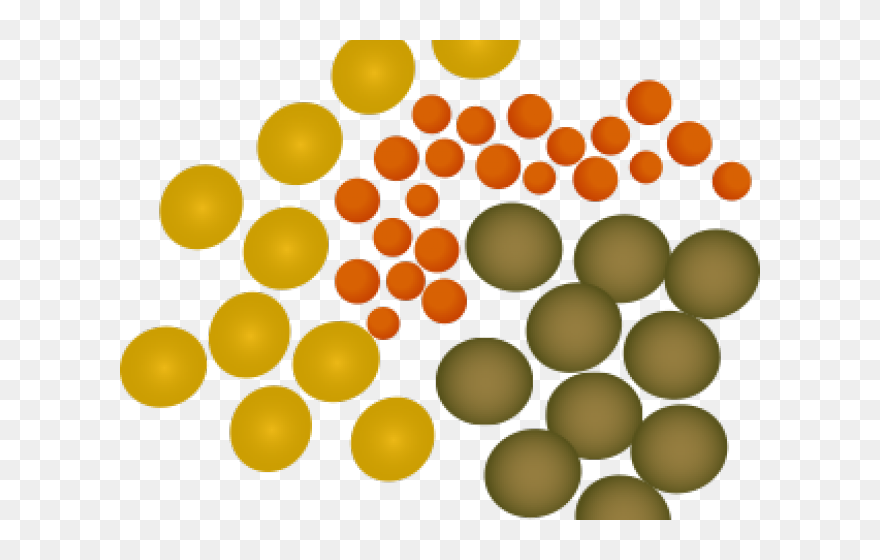 Lentil Clipart - Png Download