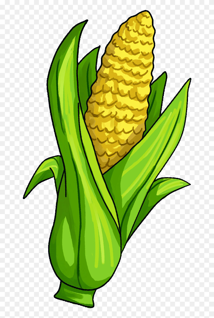 Corn On The Cob Candy Corn Maize Vegetable Clip Art - Single Vegetables And Fruits Clipart - Png Download
