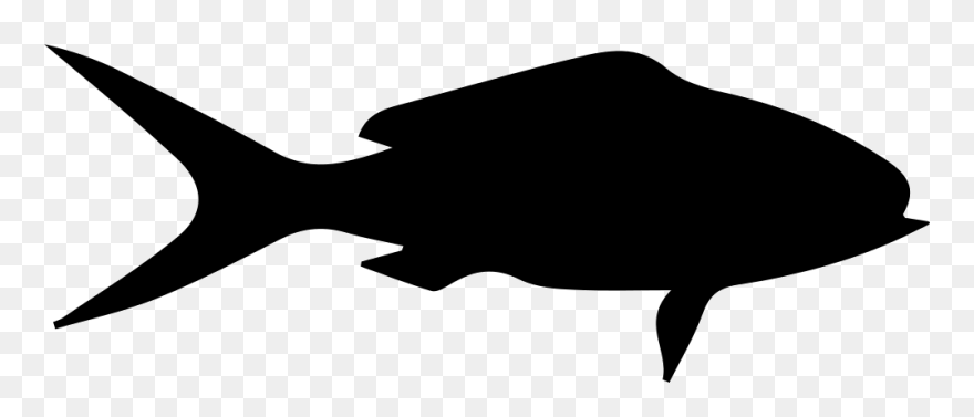 Fish Shape Clip Art Queen Snapper Hyporthodus Nigritus - Fish Shape - Png Download
