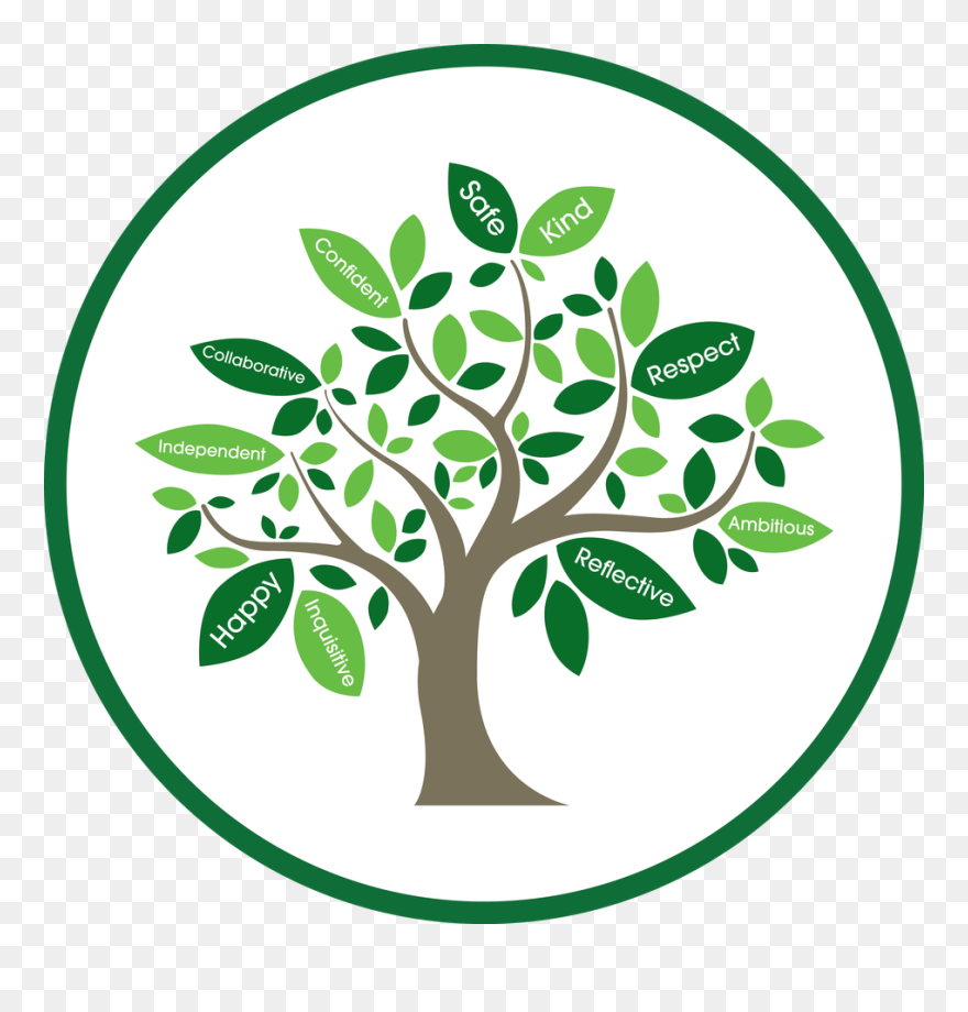 Transparent Vision Clipart - Clipart School Vision - Png Download