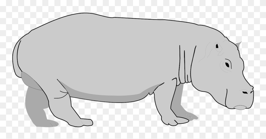 Transparent Background Hippo Clipart - Png Download