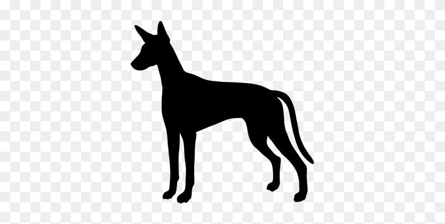 Template Infographic Survey Methodology Document Data - Boxer Dog Silhouette Clipart
