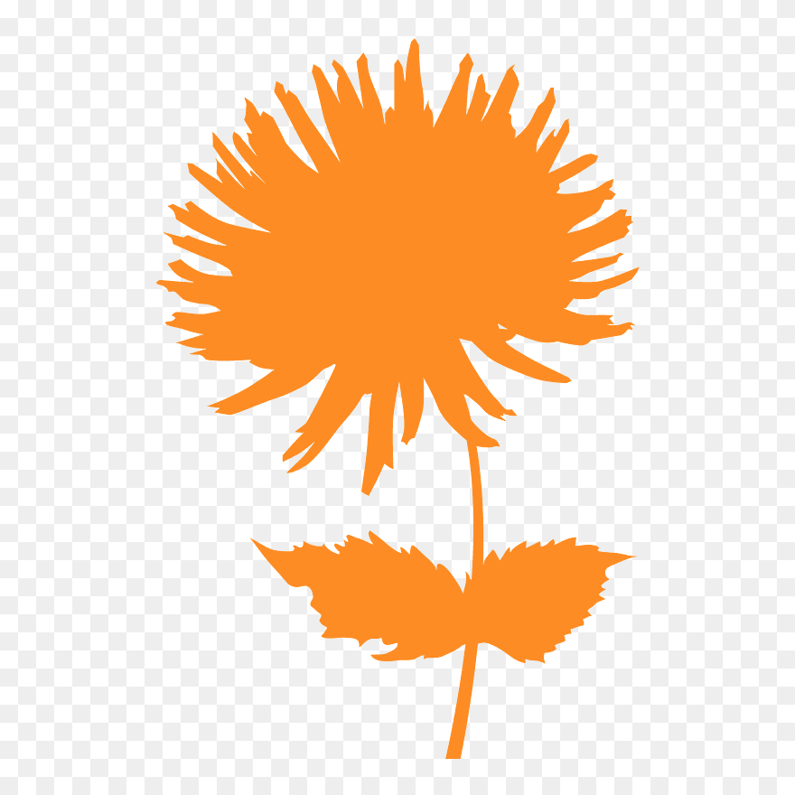 Clip Art - Png Download