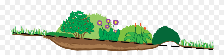 Transparent Garden Clipart Png - Rain Garden Clipart