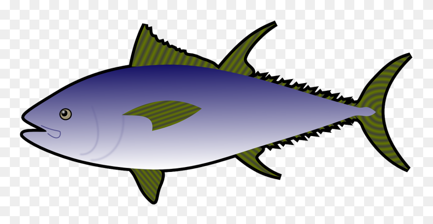 Tuna Fish Clipart - Png Download