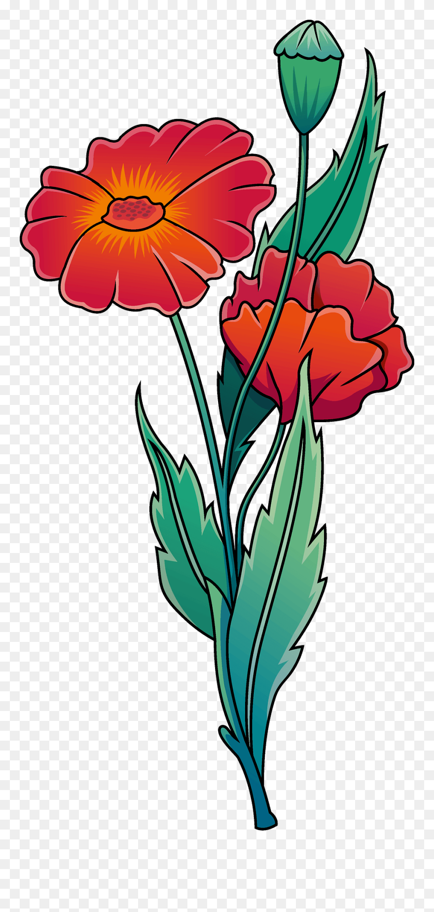 Hippeastrum Clipart