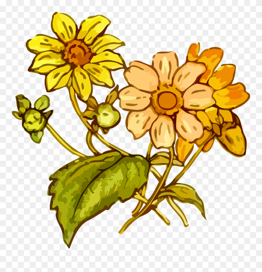 Yellow Flower Transparent Draw Clipart