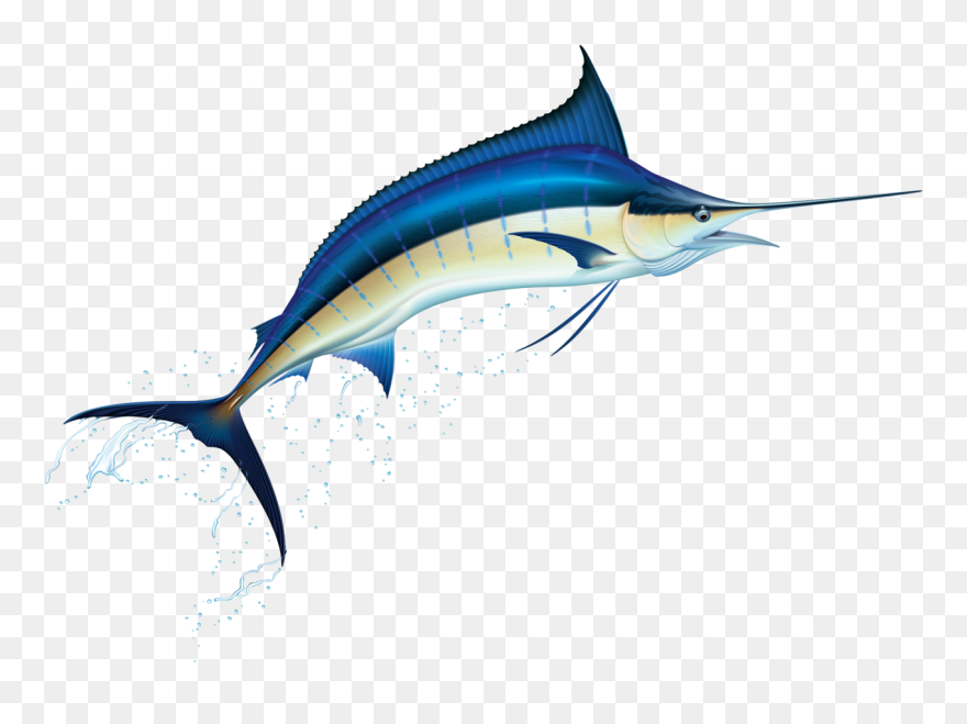 Sailfish Clipart - Png Download