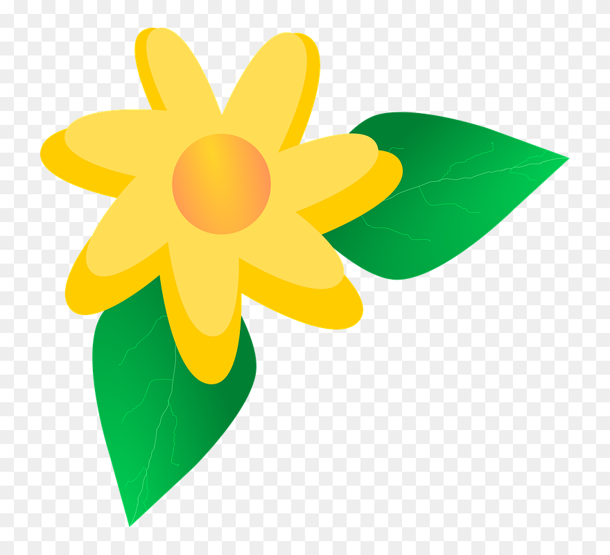 Sunflower Clipart