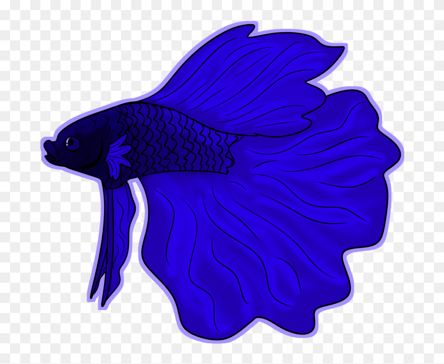 Library Of Betta Fish In A Bowl Clip Royalty Free Stock - Garibaldi (fish) - Png Download