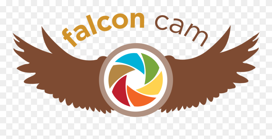 Peregrine Falcon Clipart Shaheen - Graphic Design - Png Download