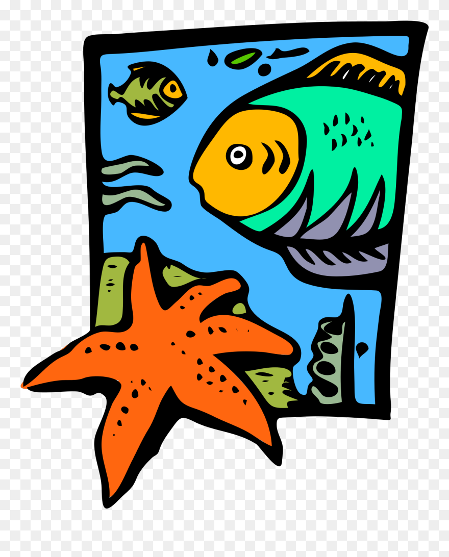 Marine Science Clipart - Png Download