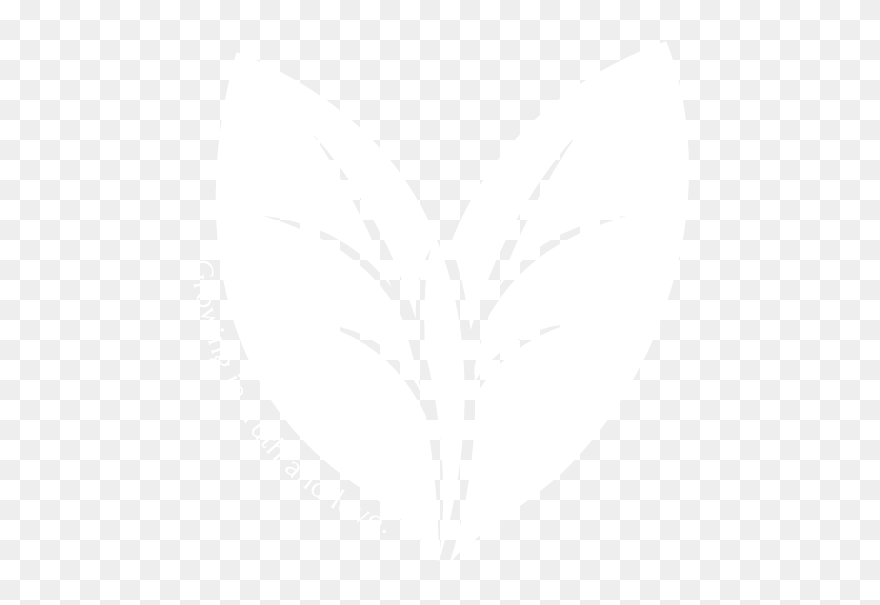 Illustration Clipart