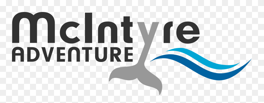 Graphic Design Clipart