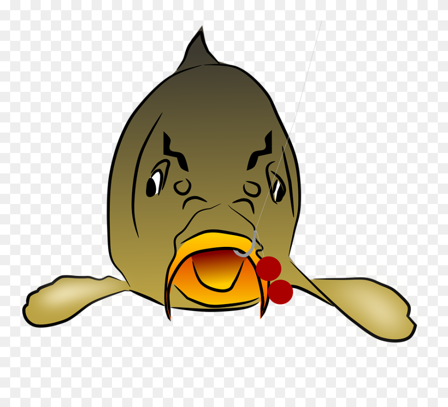Royalty Free, Pond, Free Illustrations, Fisherman, - Carp Cartoon Transparent Clipart