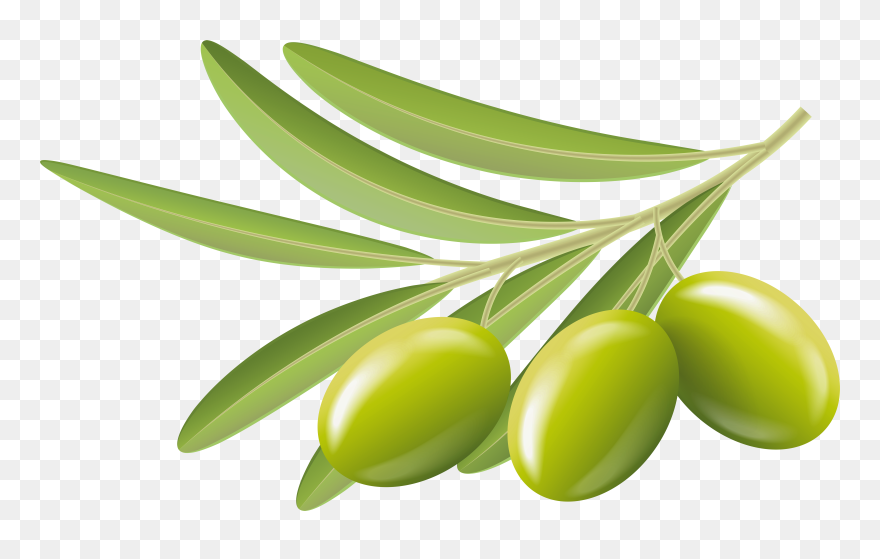 Green Olives Transparent Clip Art Image - Transparent Background Olive Clipart - Png Download