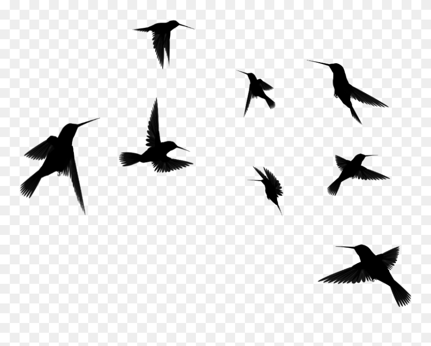 Hummingbird Flock Clip Art - Birds Flying Silhouette Transparent Background - Png Download