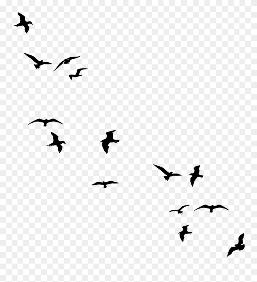 Transparent Flying Bird Clipart - Simple Birds Flying Silhouette - Png Download