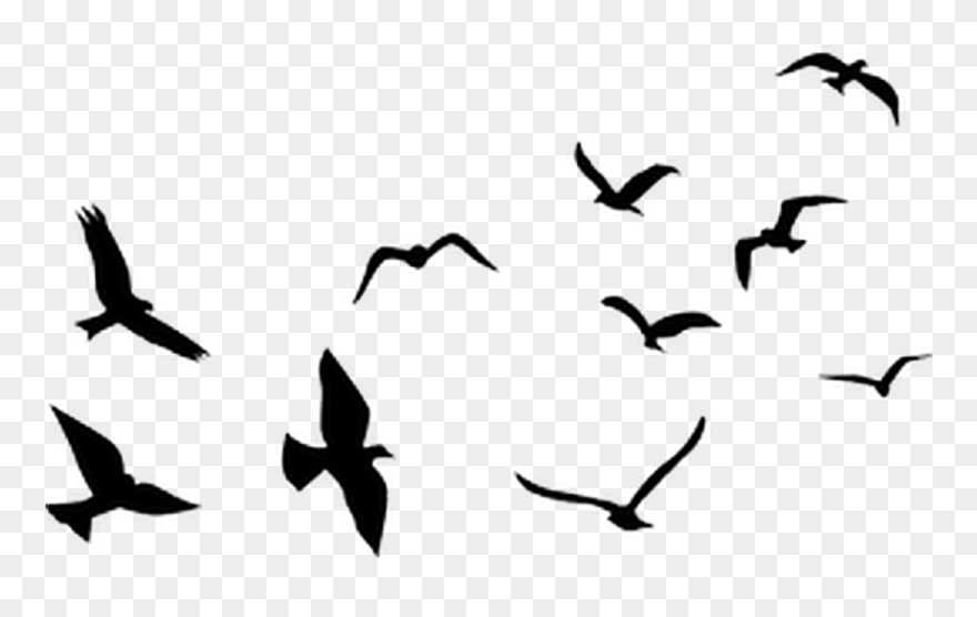 Airplane Flight Balloon Clip Art - Flying Birds Silhouette Png Transparent Png