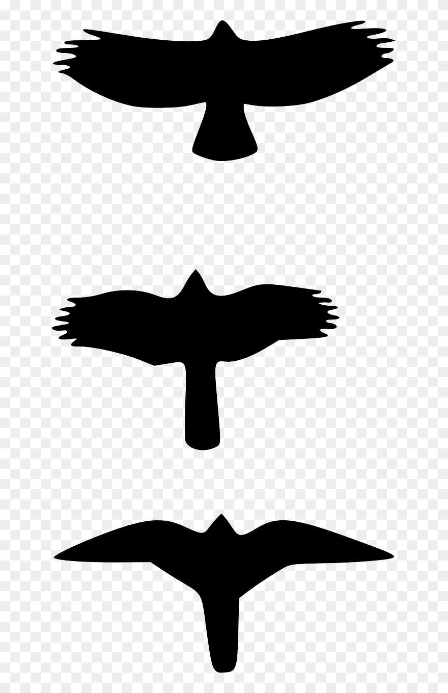 Flying Vector Black - Falcon Vs Hawk Wing Clipart