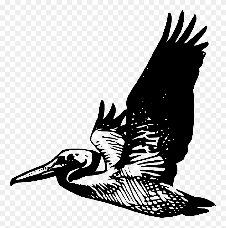 Animals, Silhouette, Cartoon, Birds, Bird, Flying - Flying Pelican Clip Art - Png Download