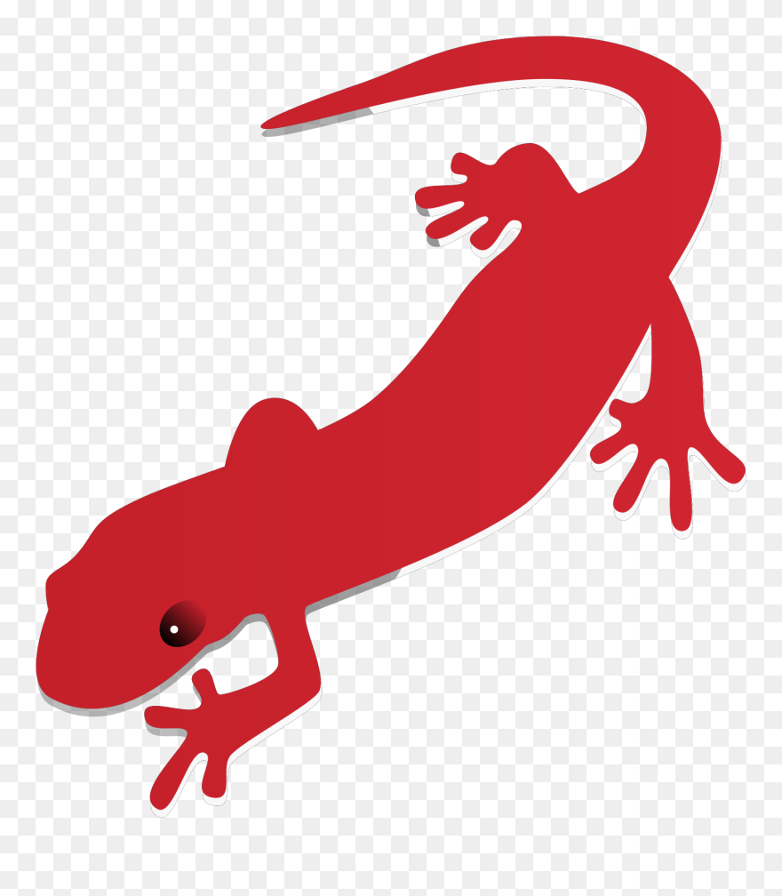 Salamander Clipart - Png Download