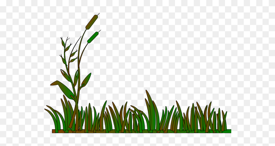 Cattails Outline Green/brown Png Icons - Grass Border Clip Art Transparent Png