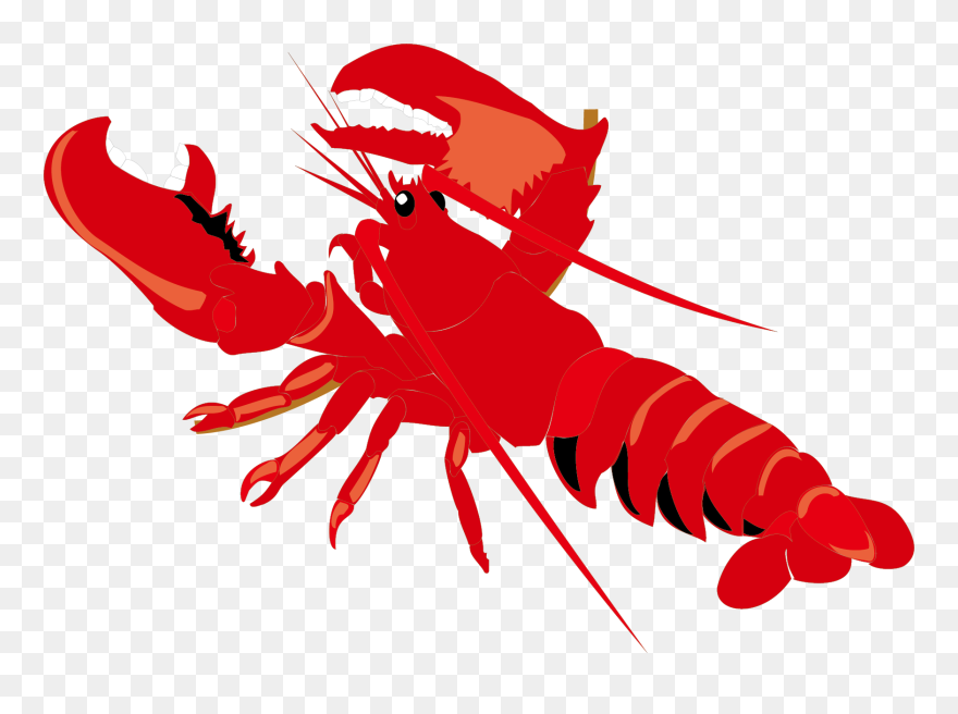 Seafood Invertebrate Free Background - Cartoon Lobster Png Clipart