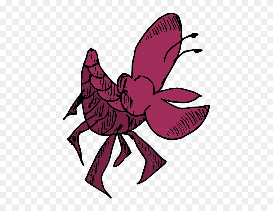 Shellfish-1583917526 - Shellfish Clipart