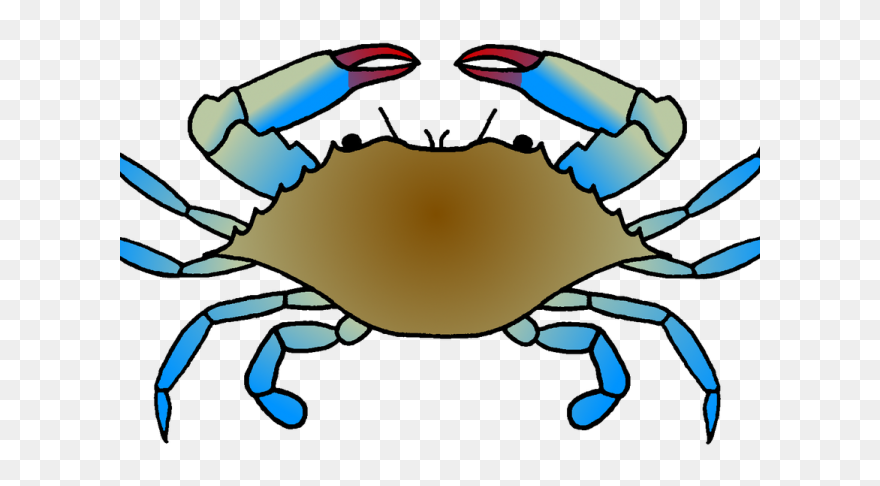 Blue Crab Drawing Easy Clipart