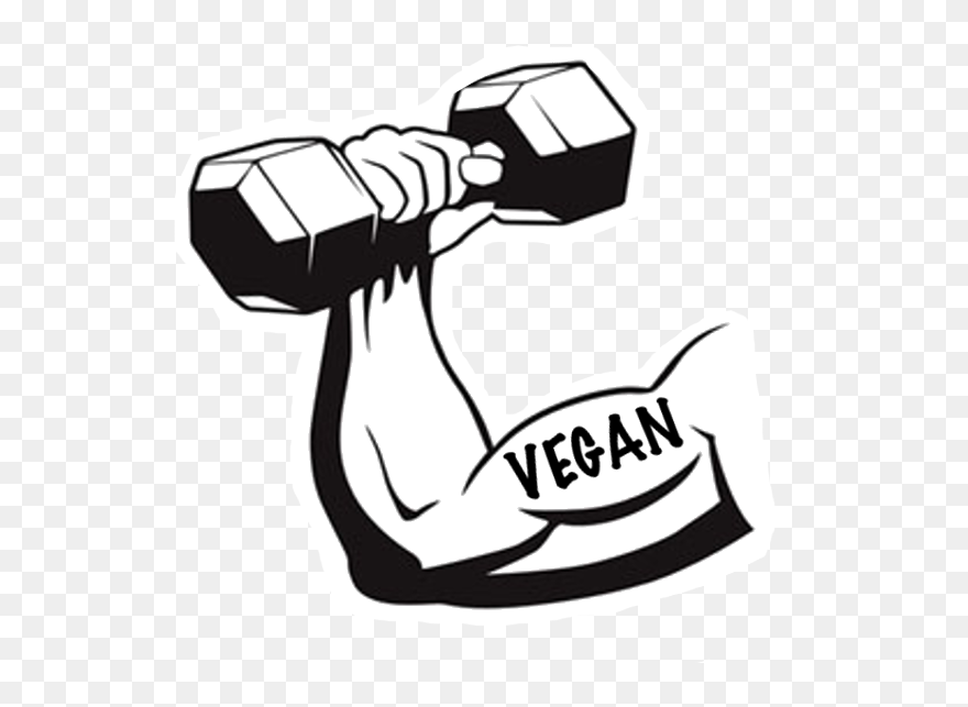Collection Of Free Drawing Muscles Muscular Animal Clipart
