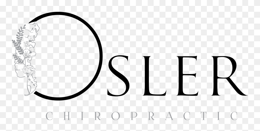 Transparent Chiropractic Spine Clipart - Png Download