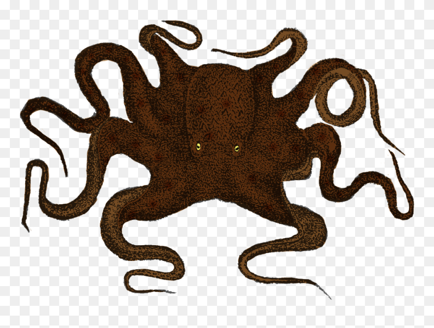 Kraken Clip Art Wall Decal Sticker Octopus - Octopus - Png Download