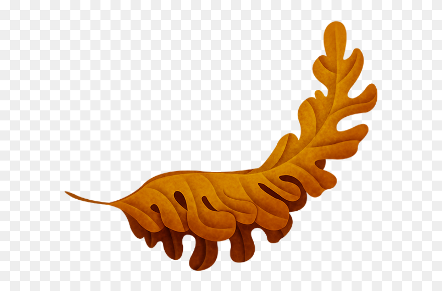 Illustration Clipart