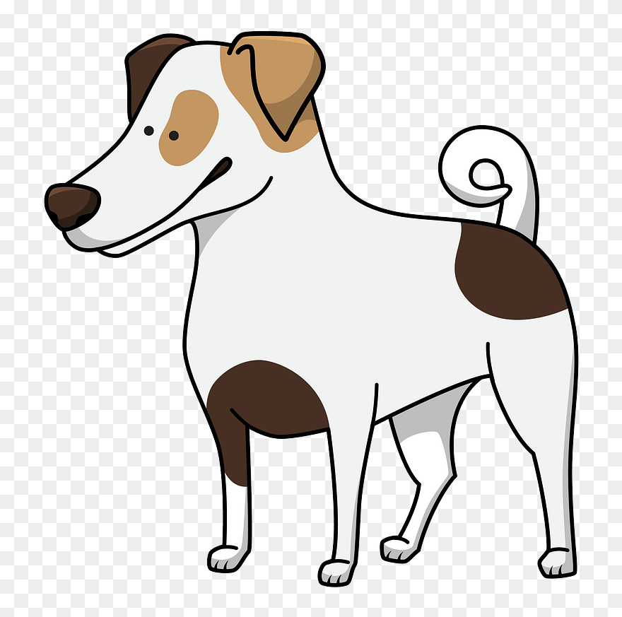 Jack Russell Terrier Clipart - Dog - Png Download