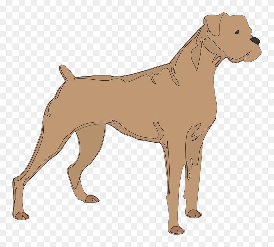 Boxer Jack Russell Terrier Silhouette Pet Clip Art - Silhouette Boxer Dog Vector - Png Download