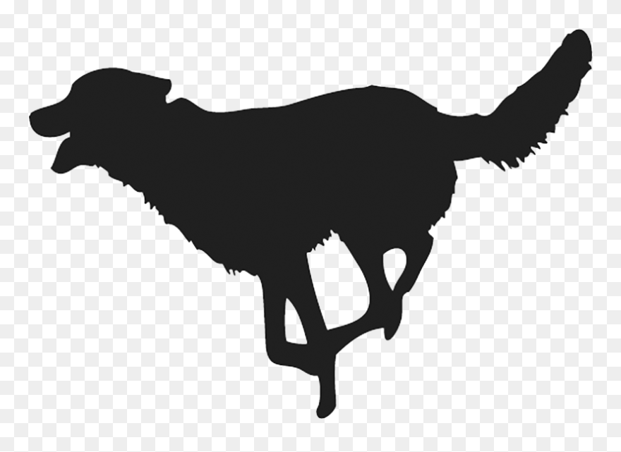 The Great Indian Obsession - Png Download Running Dog Transparent Background Clipart