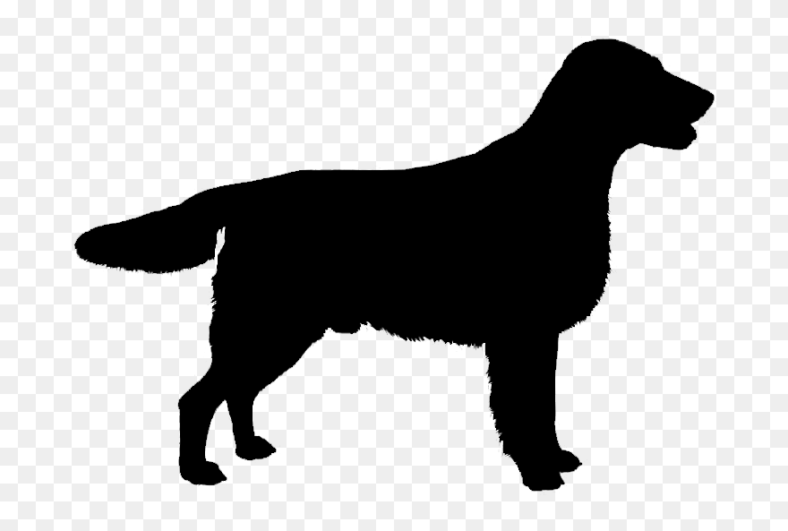 English Springer Spaniel English Cocker Spaniel Dachshund - English Cocker Spaniel Silhouette Clipart