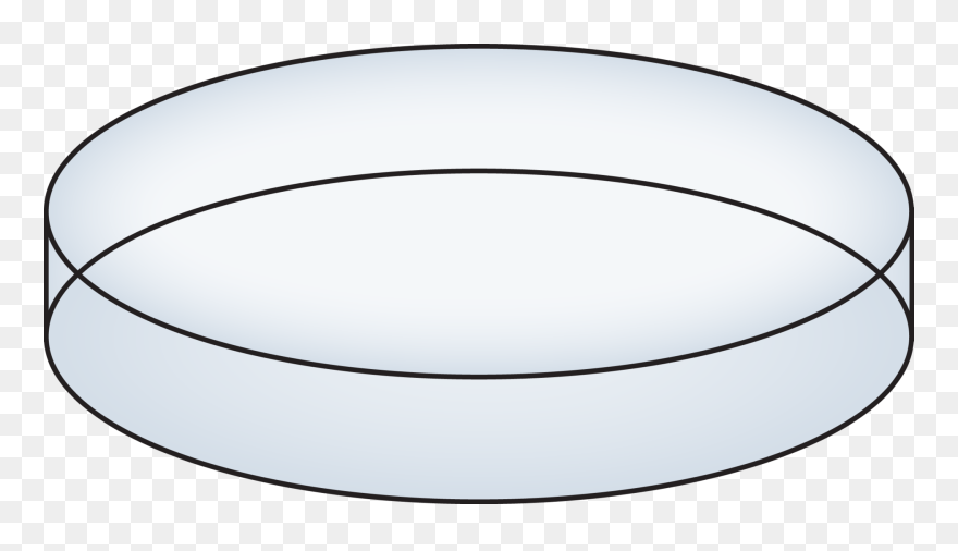 Circle Clipart