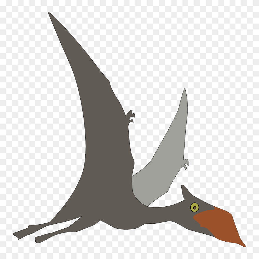 Sinopterus - Flying Dinosaurs Clipart - Png Download