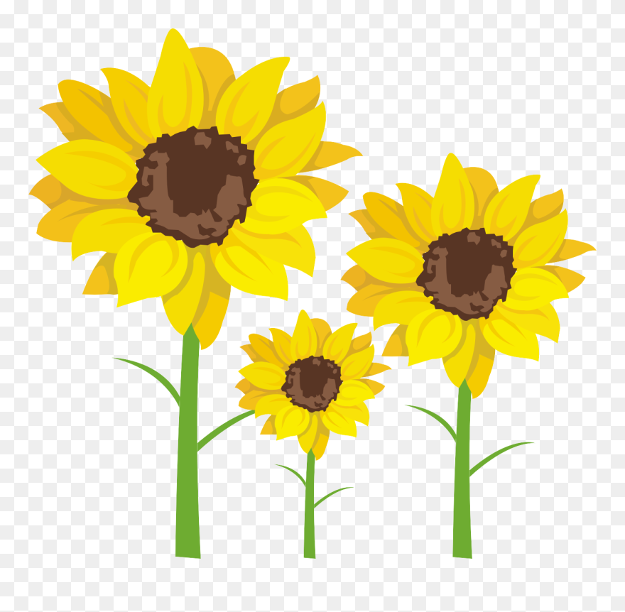Common Clip Art Transprent Png Free Download - Clip Art Transparent Png