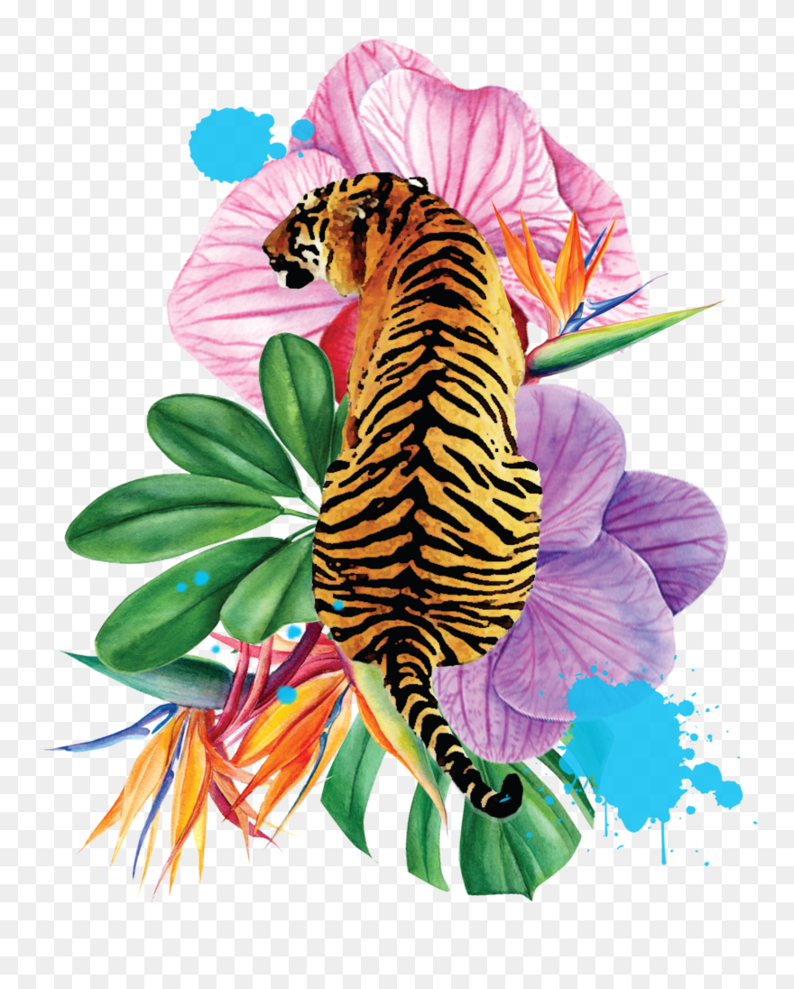 Illustration Clipart